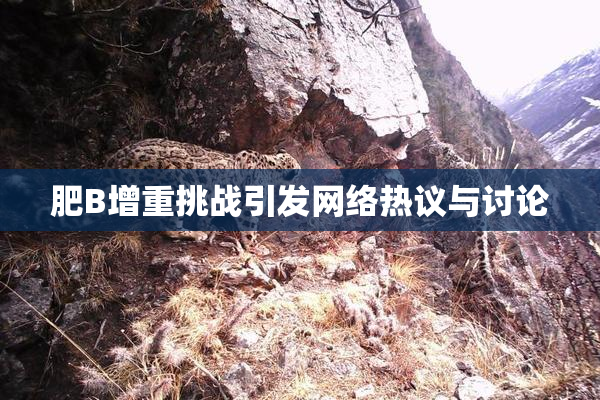 肥B增重挑战引发网络热议与讨论