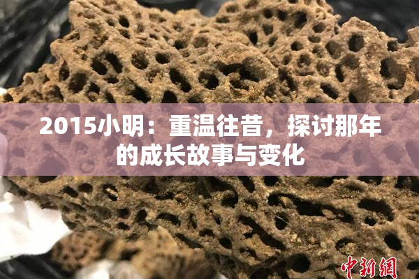 2015小明：重温往昔，探讨那年的成长故事与变化