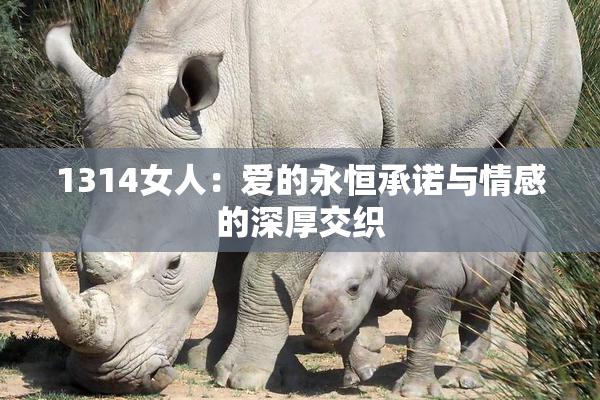 1314女人：爱的永恒承诺与情感的深厚交织