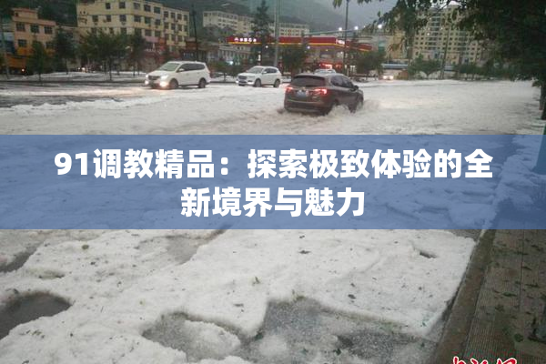 91调教精品：探索极致体验的全新境界与魅力