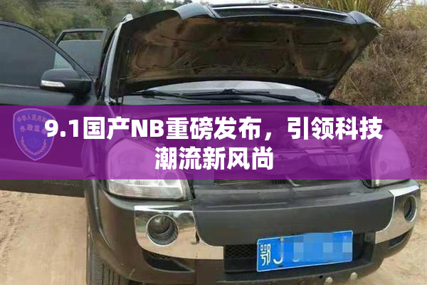 9.1国产NB重磅发布，引领科技潮流新风尚