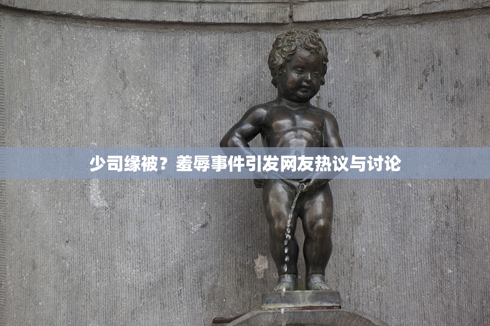 少司缘被？羞辱事件引发网友热议与讨论