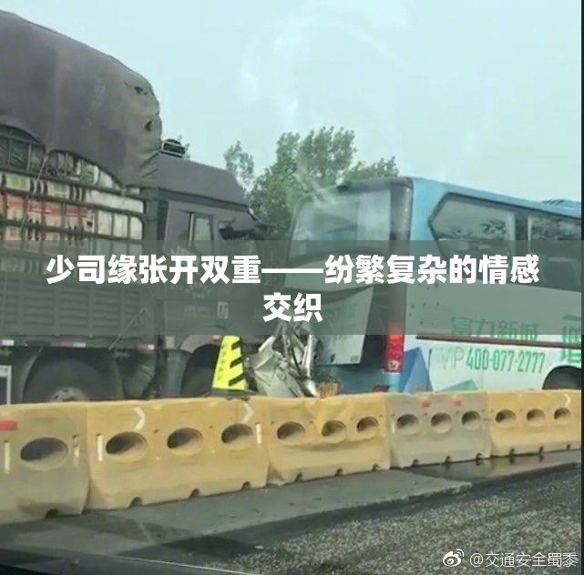 少司缘张开双重——纷繁复杂的情感交织