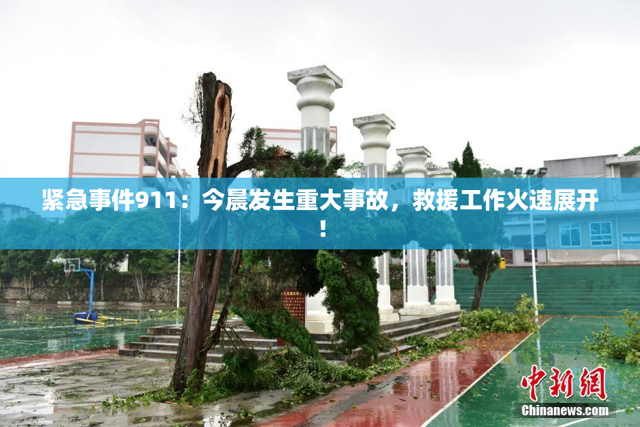 紧急事件911：今晨发生重大事故，救援工作火速展开！