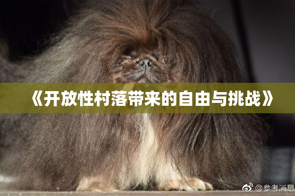 《开放性村落带来的自由与挑战》