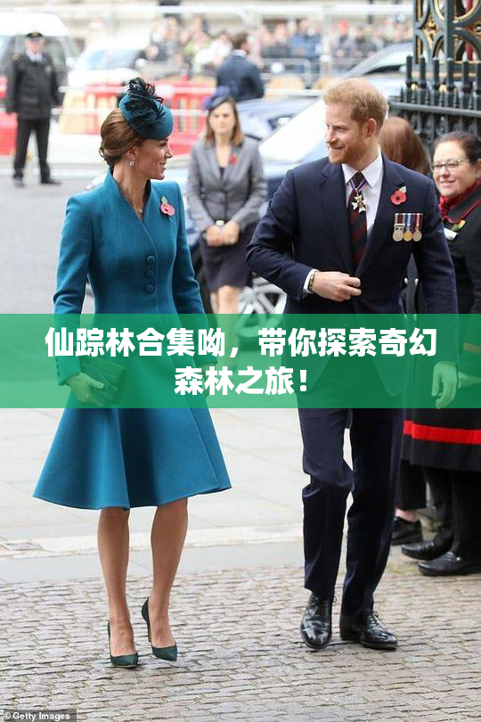 仙踪林合集呦，带你探索奇幻森林之旅！
