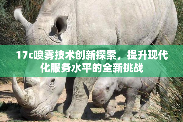 17c喷雾技术创新探索，提升现代化服务水平的全新挑战