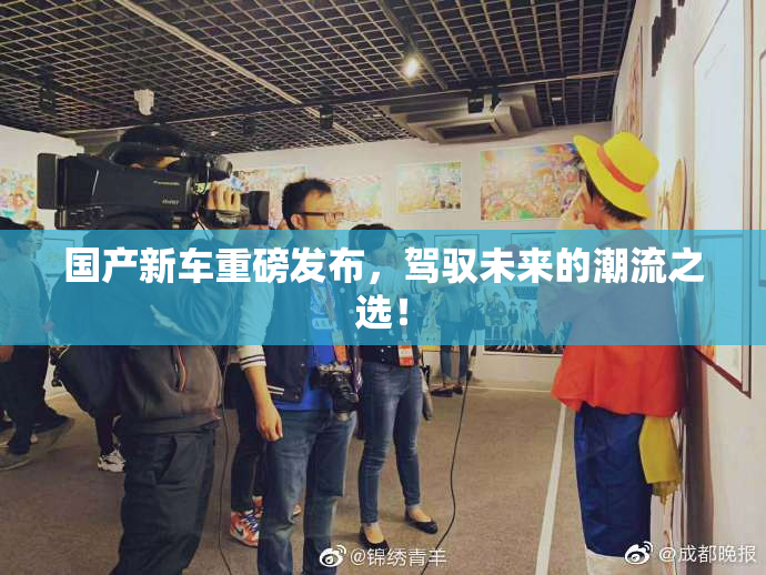 国产新车重磅发布，驾驭未来的潮流之选！