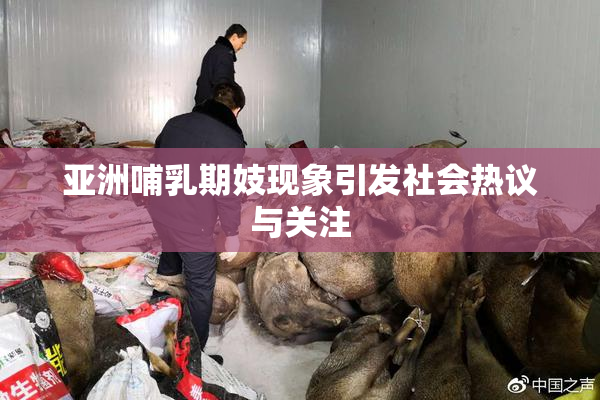 亚洲哺乳期妓现象引发社会热议与关注