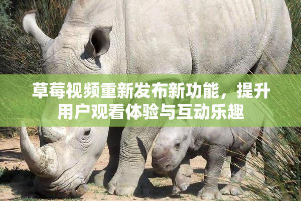 草莓视频重新发布新功能，提升用户观看体验与互动乐趣
