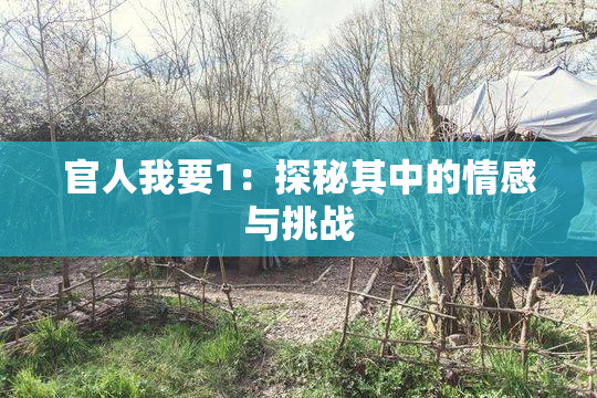 官人我要1：探秘其中的情感与挑战