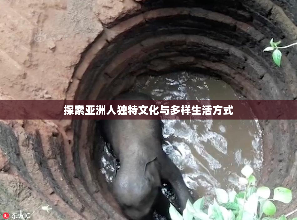 探索亚洲人独特文化与多样生活方式