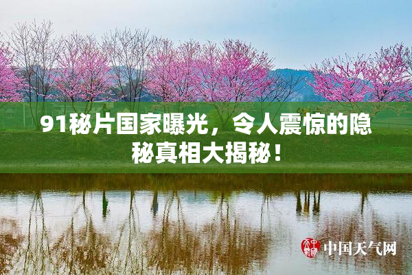 91秘片国家曝光，令人震惊的隐秘真相大揭秘！