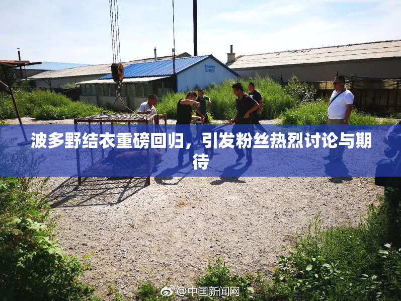 波多野结衣重磅回归，引发粉丝热烈讨论与期待