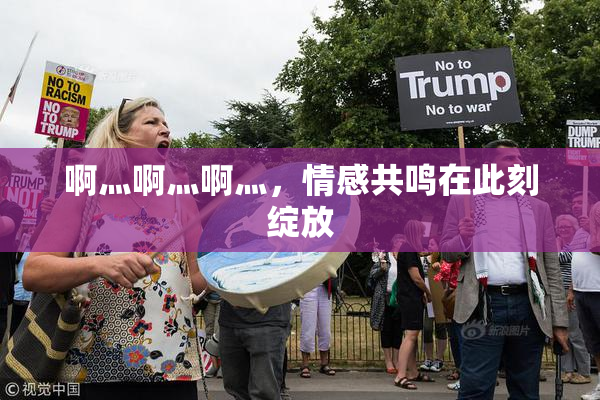 啊灬啊灬啊灬，情感共鸣在此刻绽放