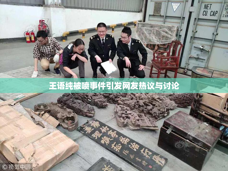 王语纯被喷事件引发网友热议与讨论