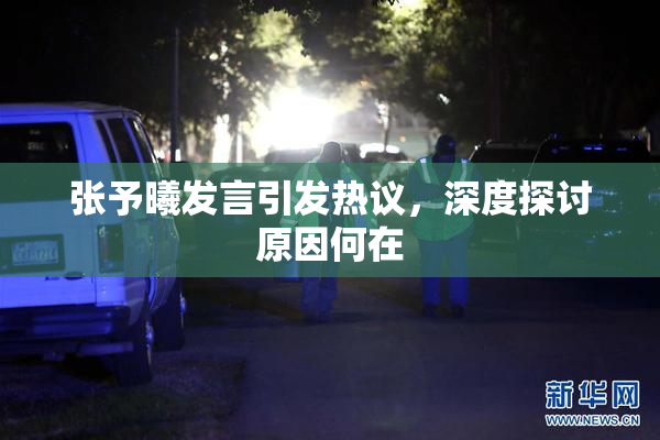 张予曦发言引发热议，深度探讨原因何在