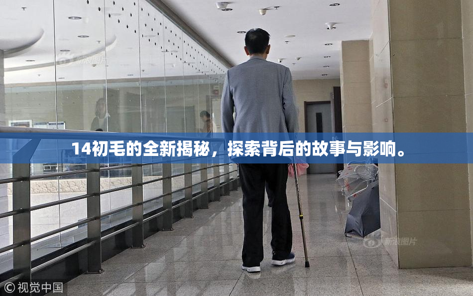14初毛的全新揭秘，探索背后的故事与影响。