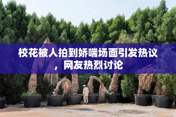 校花被人拍到娇喘场面引发热议，网友热烈讨论