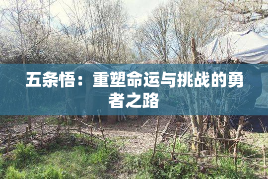 五条悟：重塑命运与挑战的勇者之路
