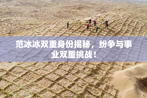 范冰冰双重身份揭秘，纷争与事业双重挑战！