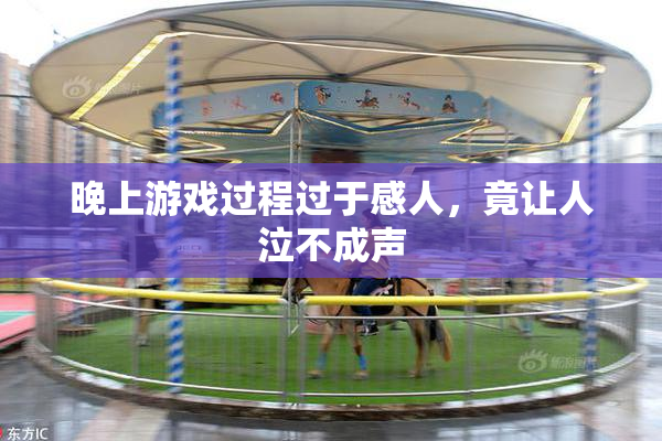 晚上游戏过程过于感人，竟让人泣不成声