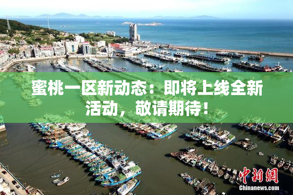 蜜桃一区新动态：即将上线全新活动，敬请期待！