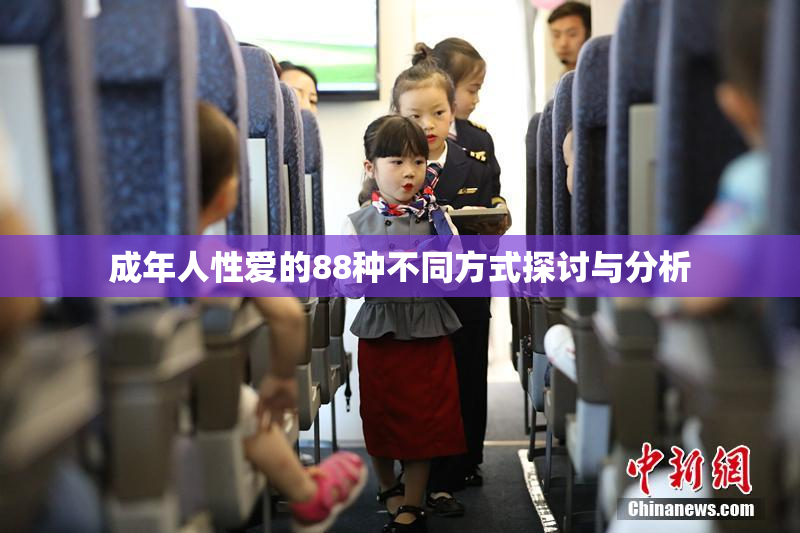 成年人性爱的88种不同方式探讨与分析