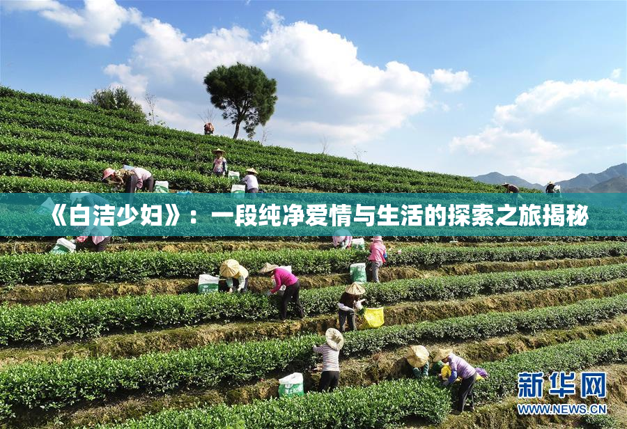 《白洁少妇》：一段纯净爱情与生活的探索之旅揭秘