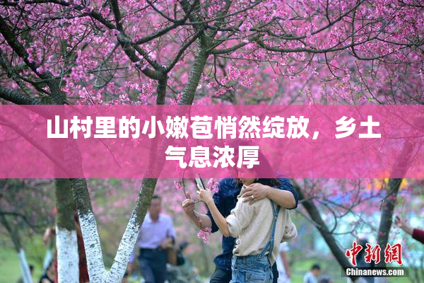 山村里的小嫩苞悄然绽放，乡土气息浓厚