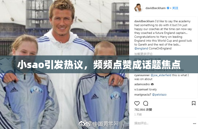 小sao引发热议，频频点赞成话题焦点