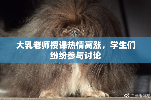 大乳老师授课热情高涨，学生们纷纷参与讨论