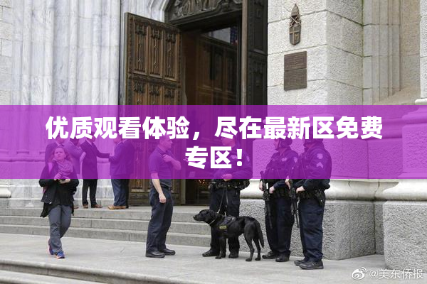 优质观看体验，尽在最新区免费专区！