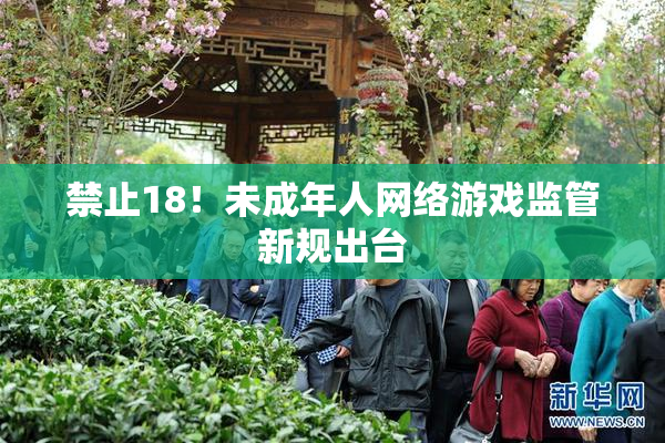 禁止18！未成年人网络游戏监管新规出台