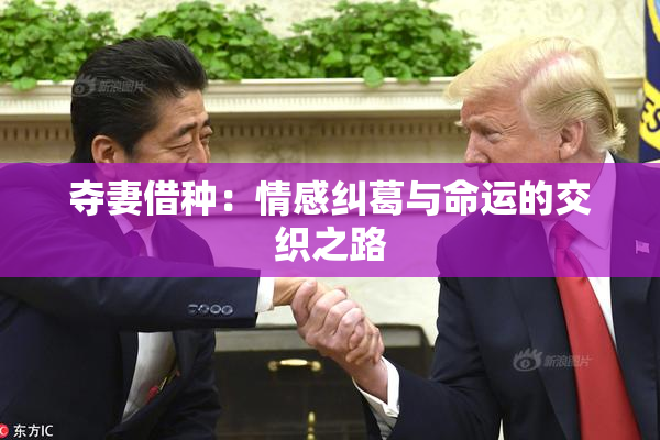 夺妻借种：情感纠葛与命运的交织之路