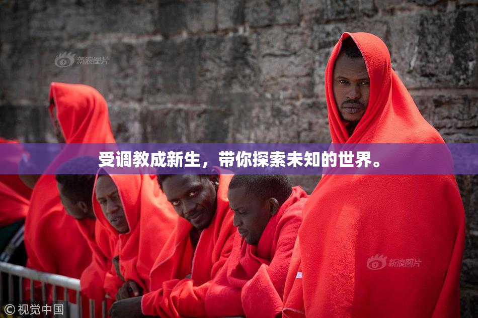 受调教成新生，带你探索未知的世界。