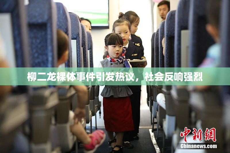 柳二龙裸体事件引发热议，社会反响强烈