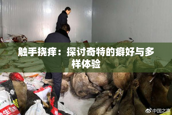 触手挠痒：探讨奇特的癖好与多样体验