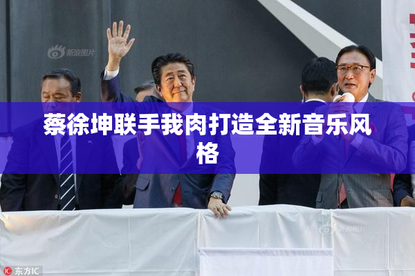 蔡徐坤联手我肉打造全新音乐风格