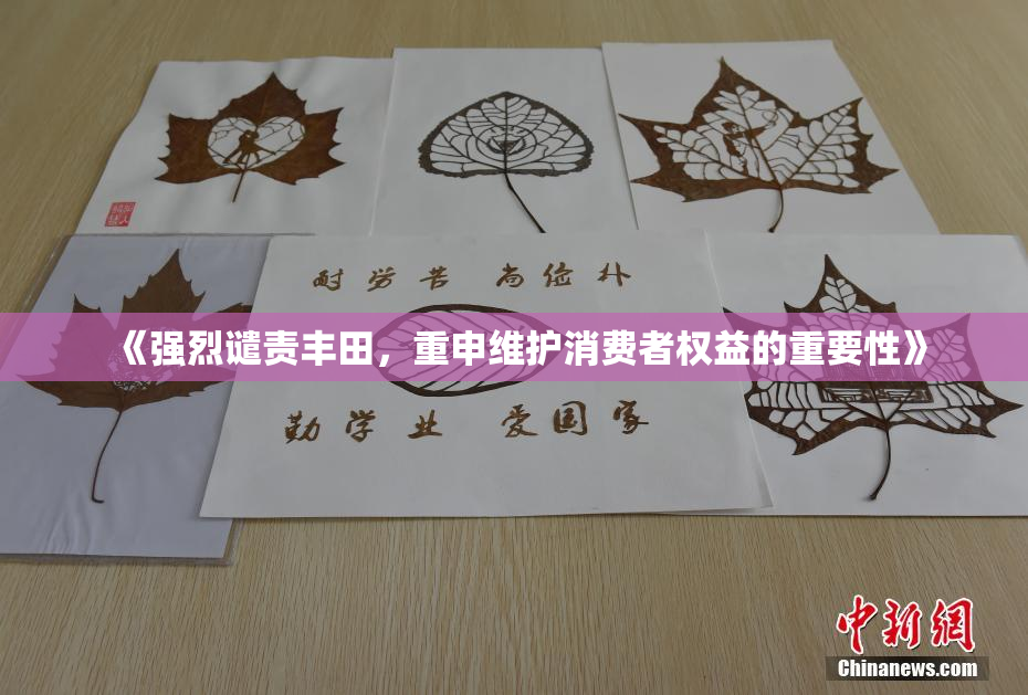 《强烈谴责丰田，重申维护消费者权益的重要性》