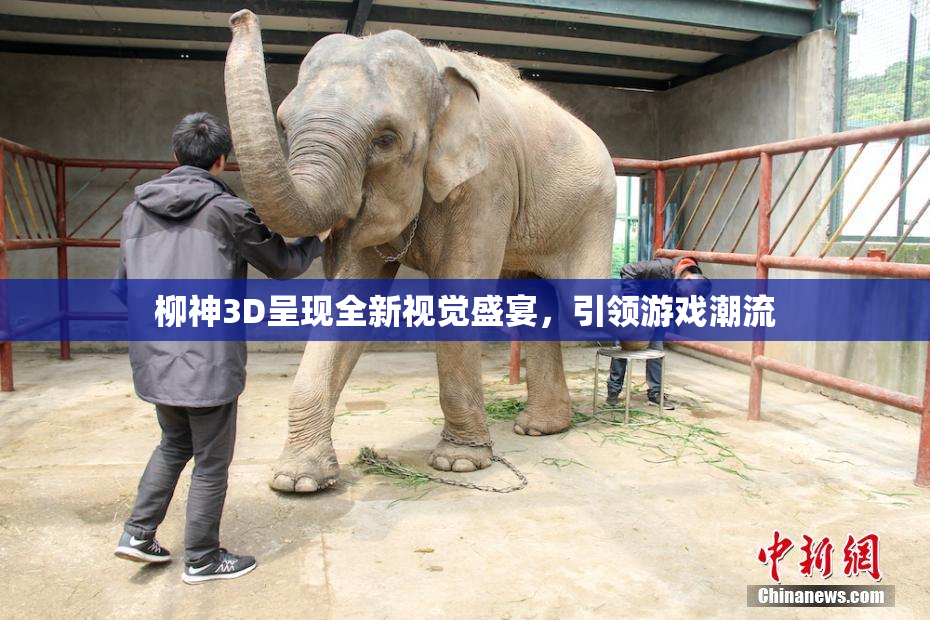 柳神3D呈现全新视觉盛宴，引领游戏潮流