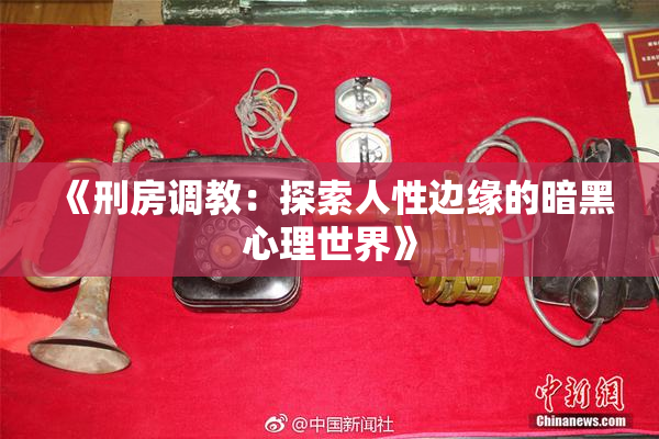 《刑房调教：探索人性边缘的暗黑心理世界》