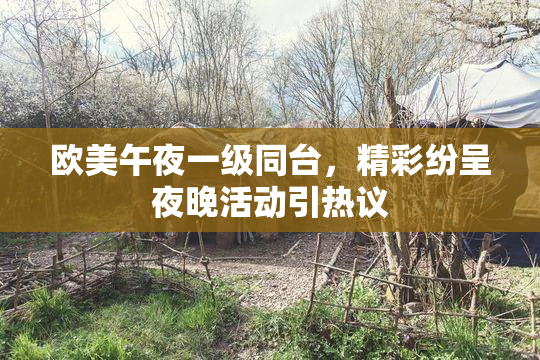 欧美午夜一级同台，精彩纷呈夜晚活动引热议