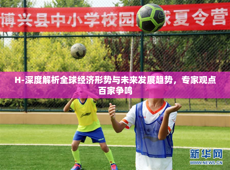 H-深度解析全球经济形势与未来发展趋势，专家观点百家争鸣