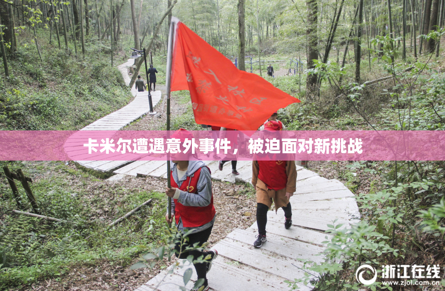 卡米尔遭遇意外事件，被迫面对新挑战