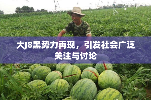 大J8黑势力再现，引发社会广泛关注与讨论
