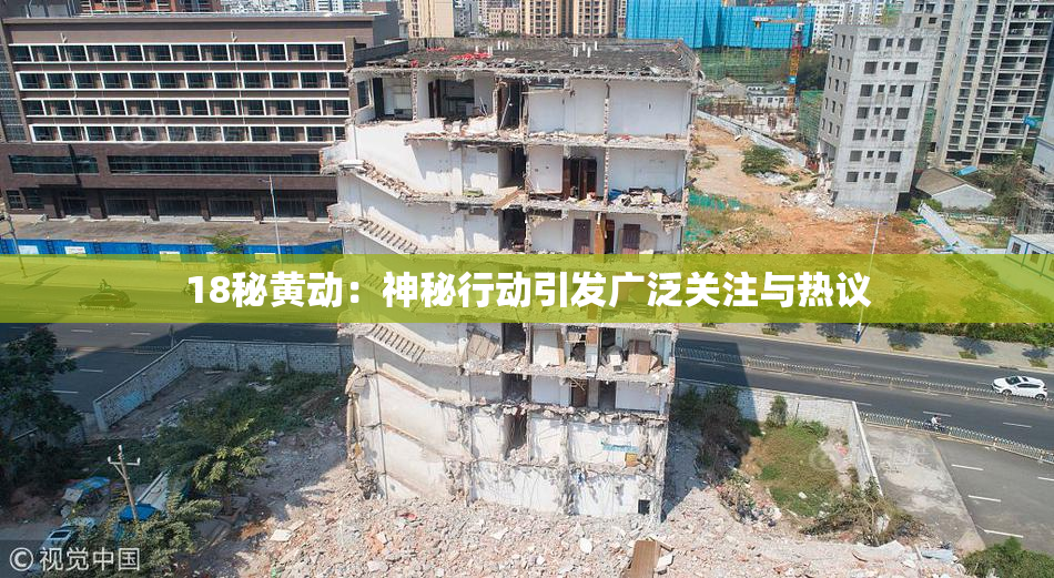 18秘黄动：神秘行动引发广泛关注与热议