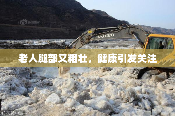 老人腿部又粗壮，健康引发关注