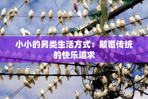 小小的另类生活方式：颠覆传统的快乐追求