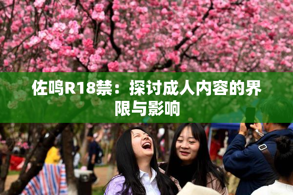 佐鸣R18禁：探讨成人内容的界限与影响
